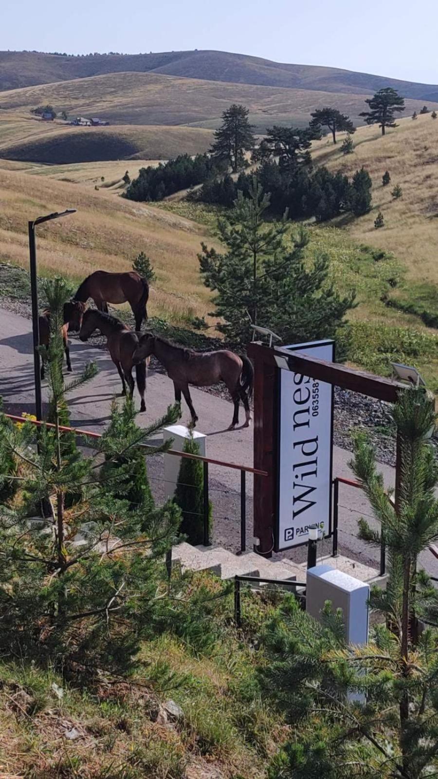 Wild Nest Zlatibor Bear Villa Exterior photo